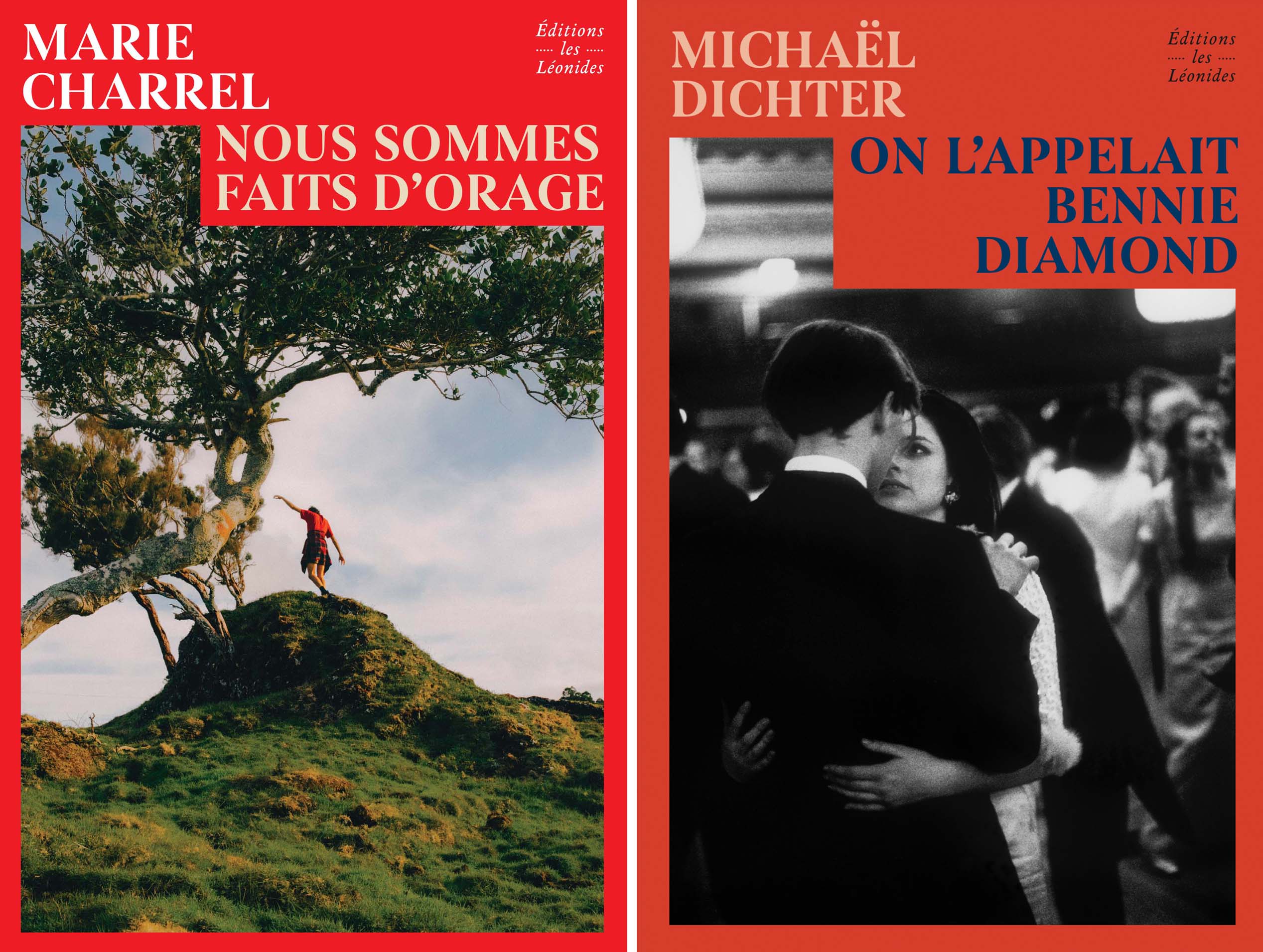 Cécile COULON - La langue des choses